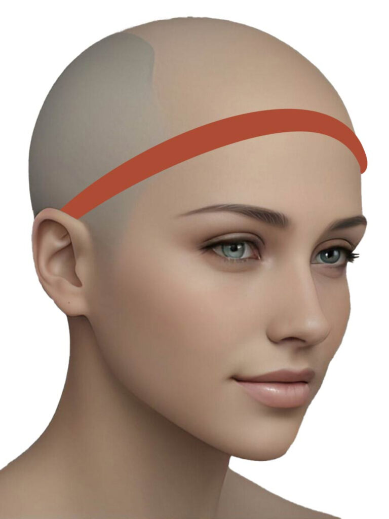 Mannequin head in side view with a red line indicating the head circumference measurement above the forehead.